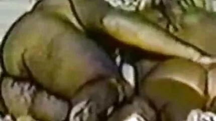 Az ügyfél annyira okos pornó film ingyen volt, hogy lefújta a masszőrt.