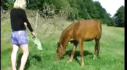 Csevegtem egy kurvával, hogy csoportos szexet vesszen ingyen nézhető szex filmek egy oldaltársával.